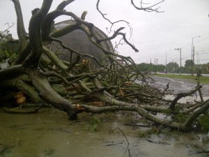 ^1D5CB05B3A1C42F751E4BA7EBD4203211617F2F7E9CA31E960^pimgpsh_fullsize_distr